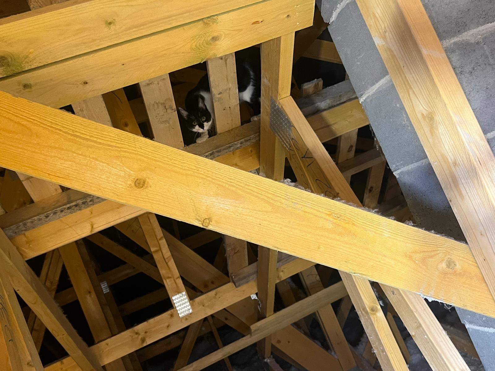 062b5261 6470 4698 b701 7fadf2c76bb8