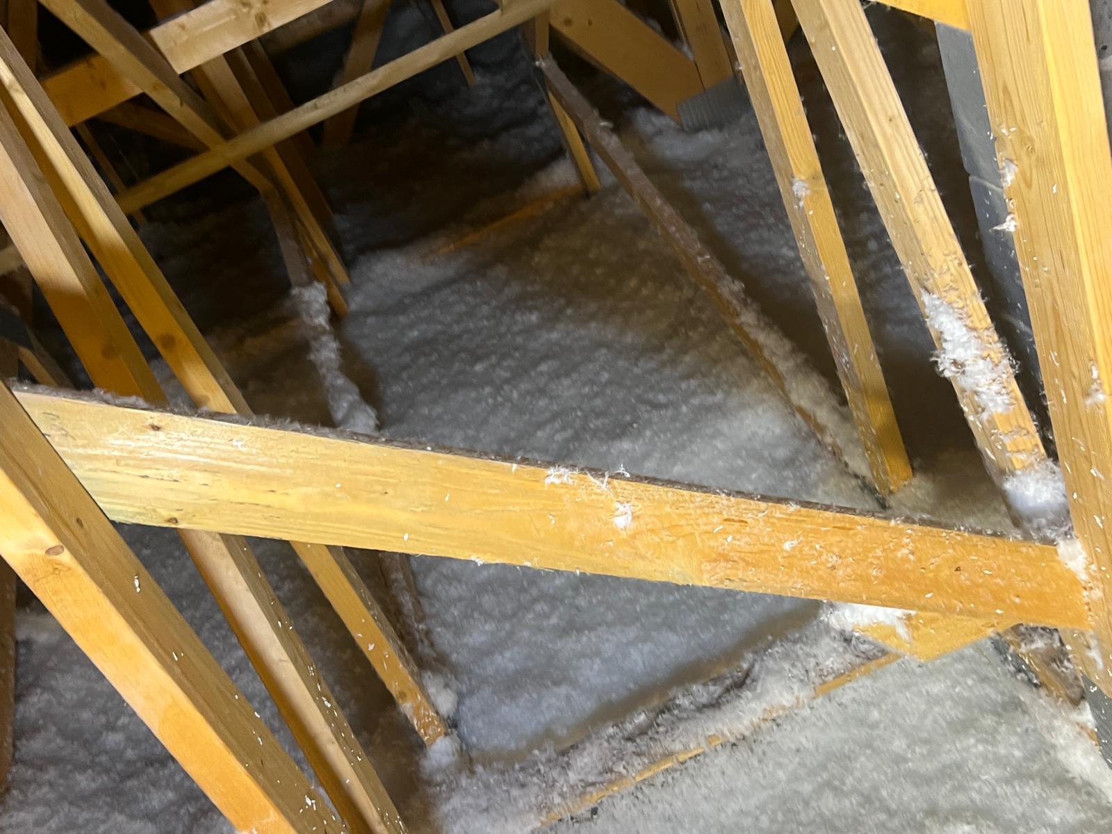 5265dd87 16bb 4899 b99c 880c7aea36ee