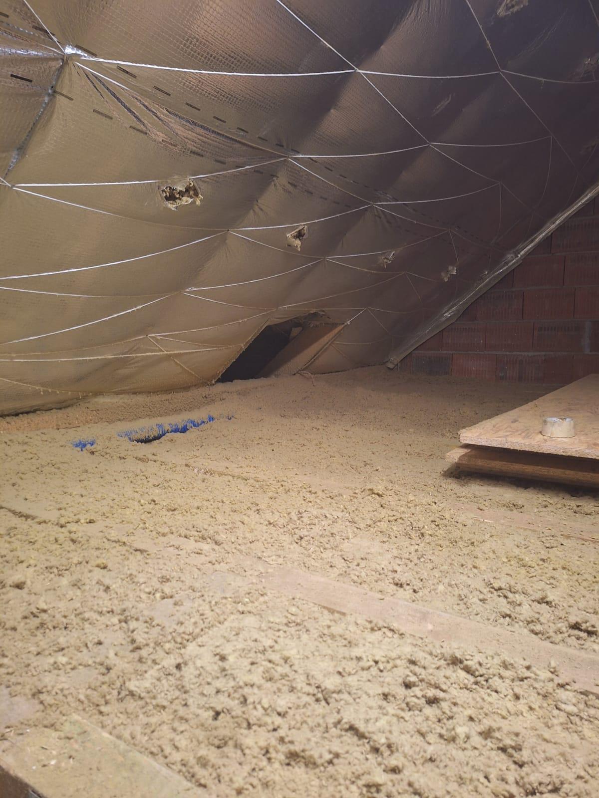 7c254783 288f 438c ab9a 876feebe6fbe