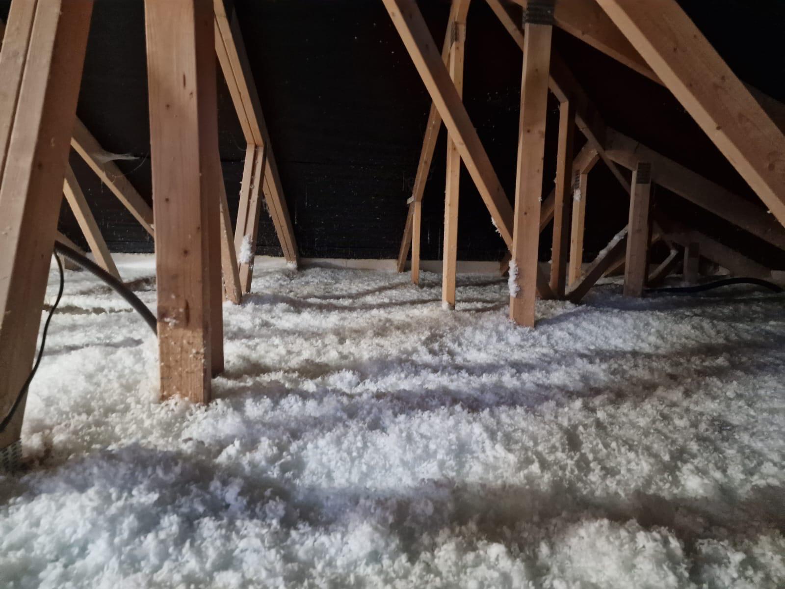 a36045ce 5817 46e5 b832 c2c5454f7cb5